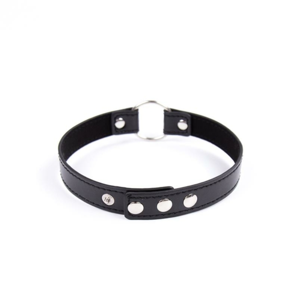 Collar with Hoop Adjustable 38,2 cm Black - immagine 2