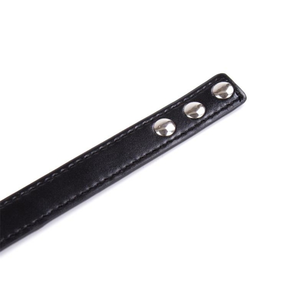 Collar with Hoop Adjustable 38,2 cm Black - immagine 4