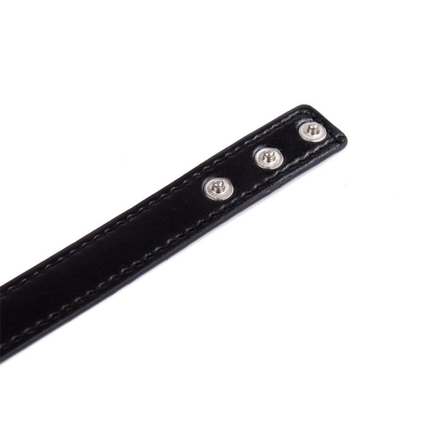 Collar with Hoop Adjustable 38,2 cm Black - immagine 5