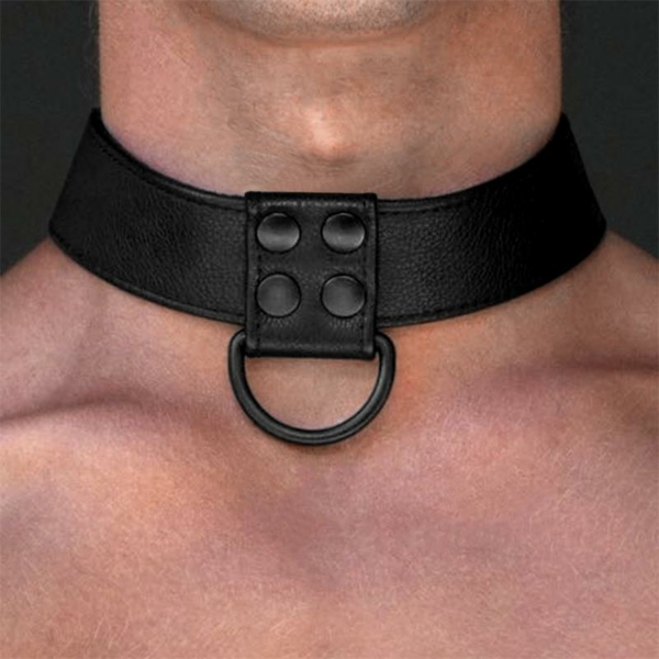 Collar with Leash Black Matt - immagine 4