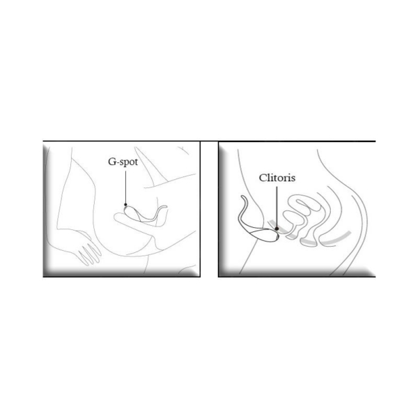 Couple Stimulator CoCo Fuchsia - immagine 6