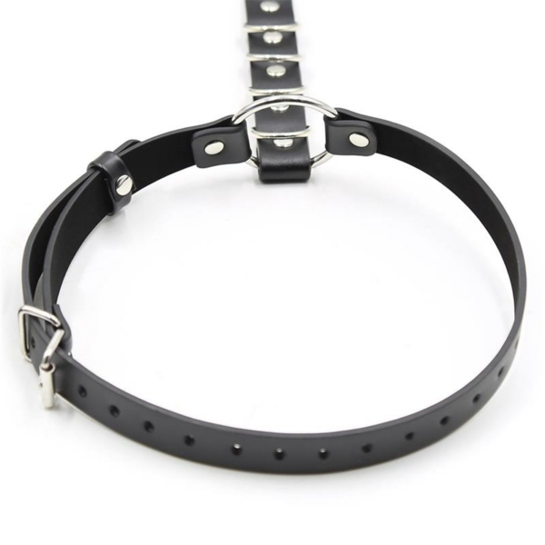 Didier Leg and Waist Bondage Harness Adjustable - immagine 4