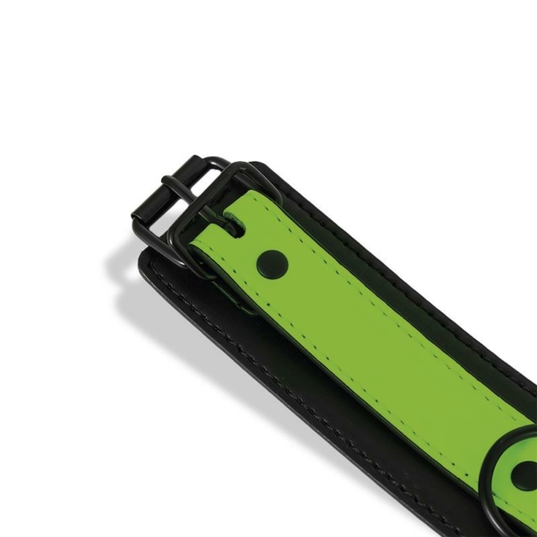 Glow in the Dark Collar with Leash - immagine 7