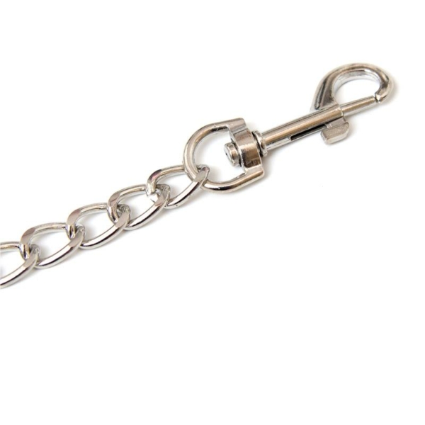 Metal Chain Leash - immagine 2