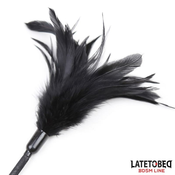 Multi Feathers Tickler and Lace Ribbon Paddle Comb - immagine 3