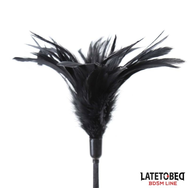 Multi Feathers Tickler and Lace Ribbon Paddle Comb - immagine 4