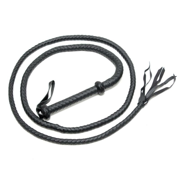 Whip 250 cm - immagine 3